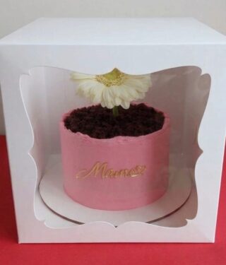 WhatsApp Image 2026-04-21 at 11.30.30 AM